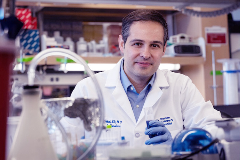 埃布拉希米-法哈里在实验室工作台上研究遗传性痉挛性截瘫