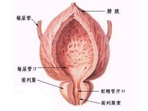 国内最好的前列腺癌医院排名 | 全国治疗癌症权威医院盘点