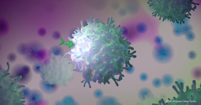 新型T细胞疗法(免疫疗法gavo-cel)在临床试验早期缩小实体肿瘤
